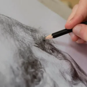 Charcoal Art